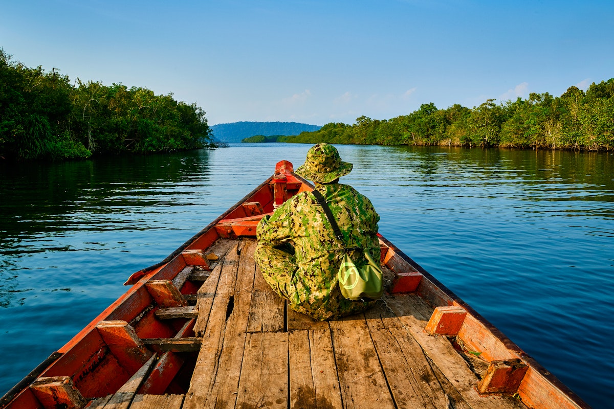 deforestation in cambodia essay