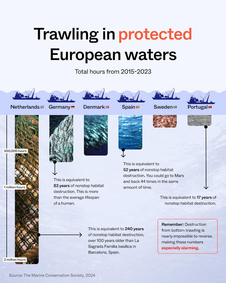 Share the appeal to ban bottom trawling in the EU