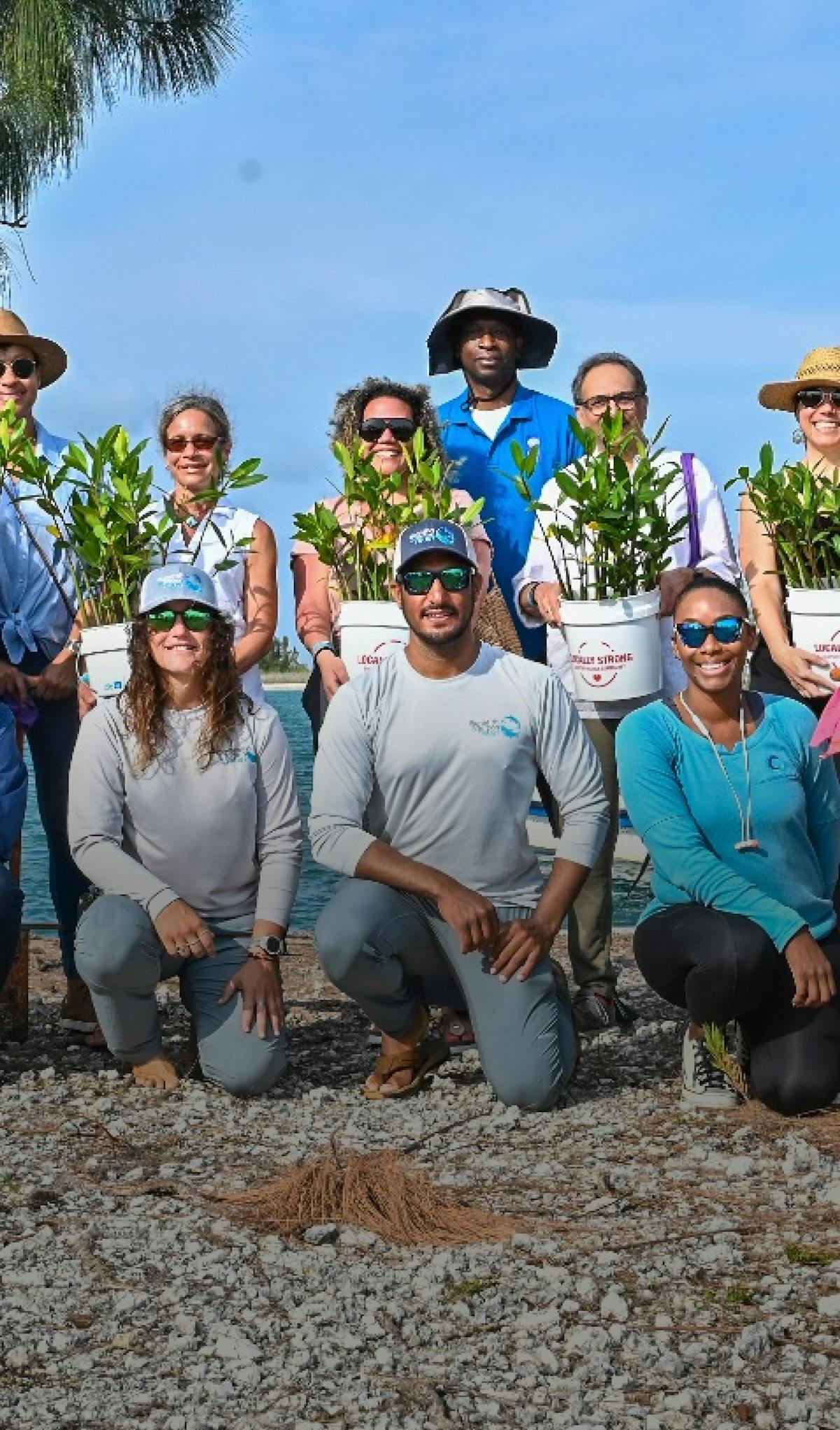 Three months of planting events organized by The Bahamas Mangrove Alliance