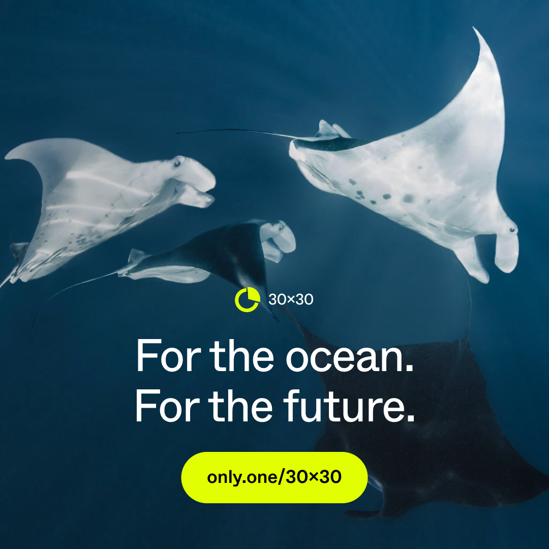 Tell World Leaders To Protect 30% Of The Ocean By 2030