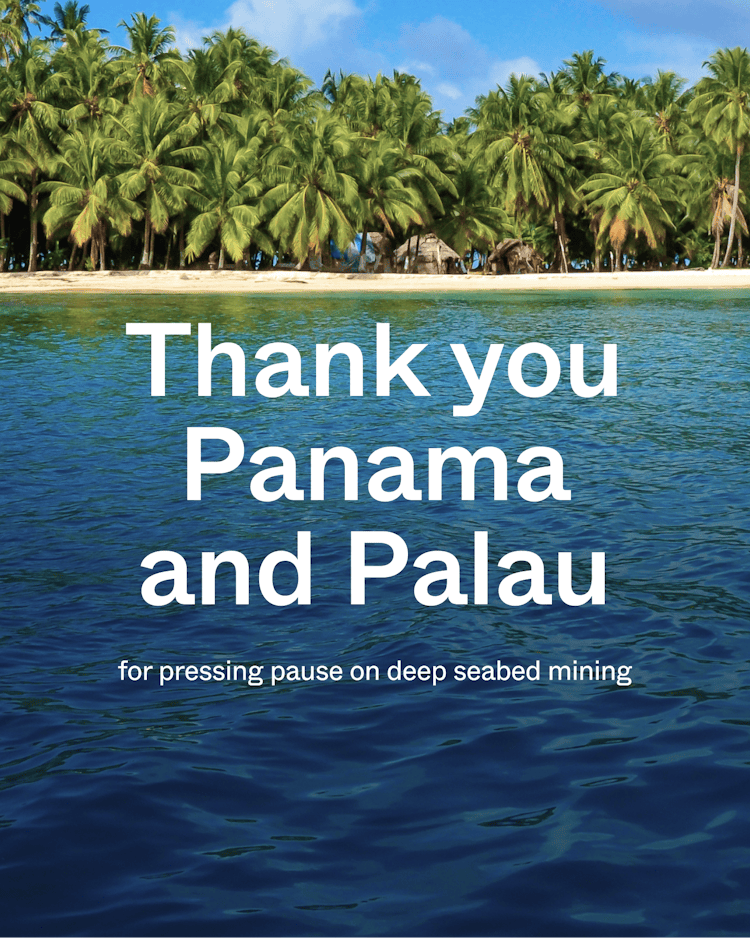 Deep Sea Mining Petition Delivery Toolkit