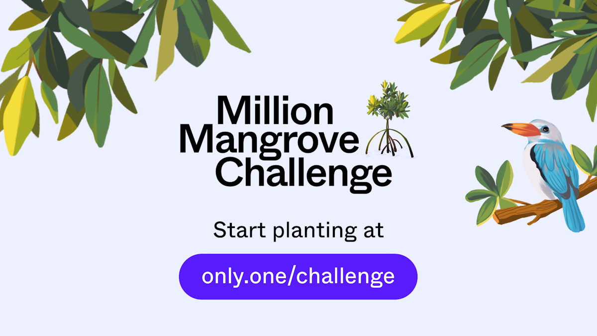 Million Mangrove Challenge