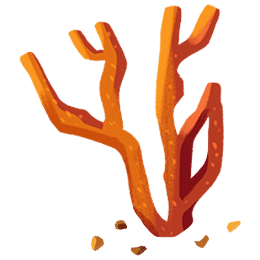 coral illustration